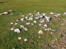 Legaire Bidea Tumulua