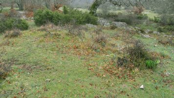 Itaida V tumulua, Entzia