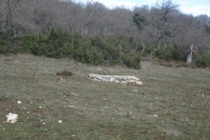 Monolito El Pelado de Aletxa  (Febrero 2020)