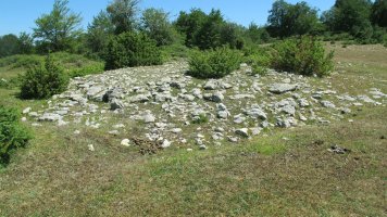 Urkibi tumulua, Entzia