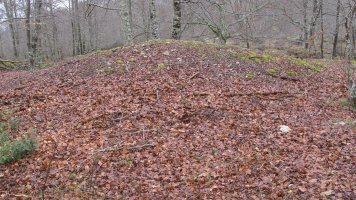 Urkibiburandi tumulua, Entzia