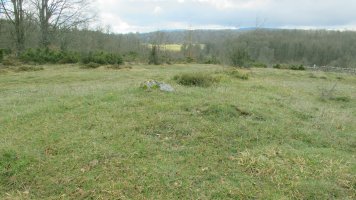 Alto del Mojon trikuharria, Ameskoako Limitazioak