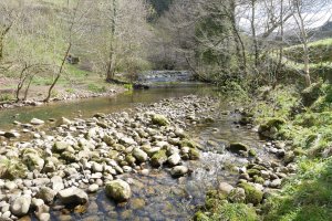 Agauntza erreka bide bazterrean