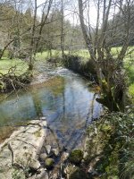 Ergoiena eta San Gregorio arteko bidea