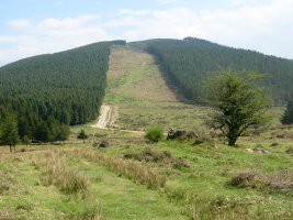 Usobelartzatik ikusita