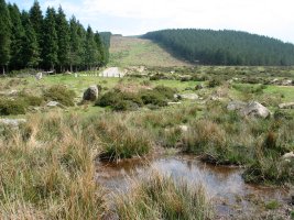 Usobelartza inguruak