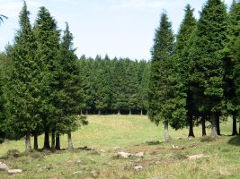 Usobelartza inguruak