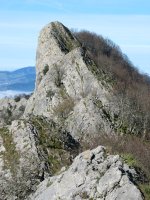 Intzartzu aldeko gandorra