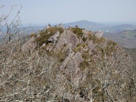 IEko tontorra HMko tontorretik