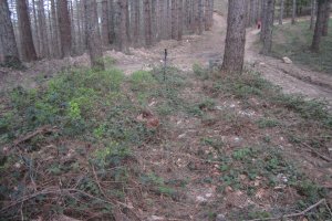 Túmulo Armorazabal  (Marzo 2021)