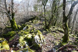 Otsabiotik Laparmendira abiatzen