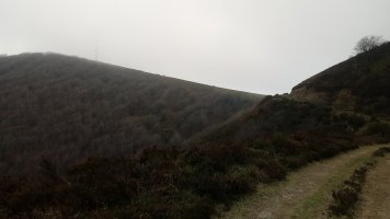 Mirubizkar (1048m) aterpe aldeko lepotik