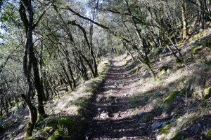 Artadian barrena, Arterreka arrobiaren gainaldeko tartean