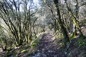 Artadian barrena, Arterreka arrobiaren gainaldeko tartean