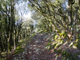 Artadian barrena, Arterreka arrobiaren gainaldeko tartean