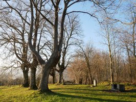 Gereizeagako aisigunea
