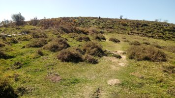 Lagarte (811m) azken zatia