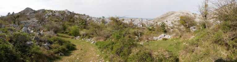 Bidea Pagozelai inguruan