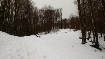 Gorostiaga (950m) igoera bidean