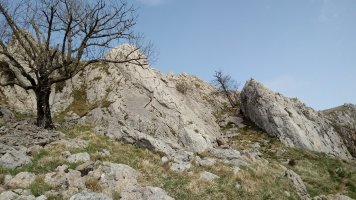 Udalaitz-Pozutxueta sendako harkaitzartea