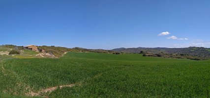 Abelbideko borda baten hondakinak