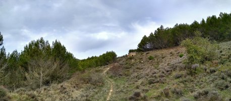 Borda baten hondakinak Alto del Cielo bidean