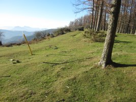 Túmulo Pagola  (Diciembre 2015) Destruido