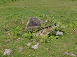 Pozontarriko Lepoa Trikuharria