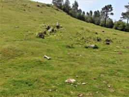 Pozontarriko Lepoa Trikuharria
