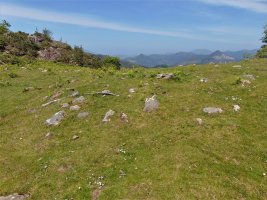 Aballarri Trikuharria