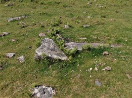 Aballarri Trikuharria