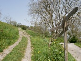 Hernio aldera abiatzen den bidea
