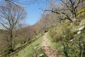 Igoera Hernialde aldetik