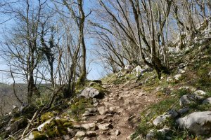 Igoera Hernialde aldetik