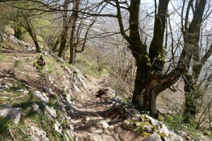 Igoera Hernialde aldetik