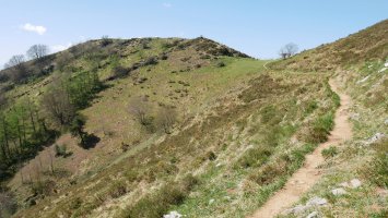 Lizarbakarra lepora gerturatzen