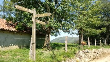Lizarreta (537m) bidegurutze lepoa