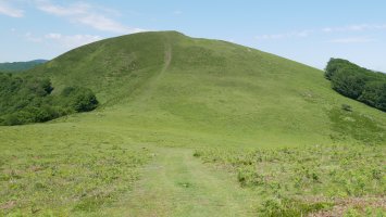 Erroberriko Gaina, Ello aldetik