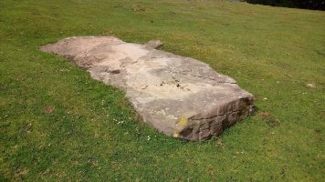 Larrebeltz zutarria (2021)