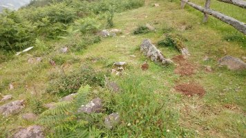 Tranpako borda trikuharria