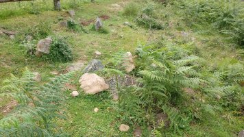 Tranpako borda trikuharria (2021)