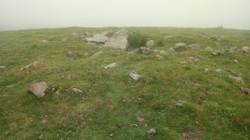 Luurzu I Erdi trikuharria