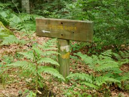 Seinalea bidegurutzean