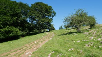 Izarrita aldeko bidea