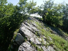 IEko bizkarretik, Surbizelai eskubi aldean.