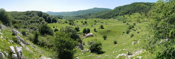 Balenkalekuko larreak