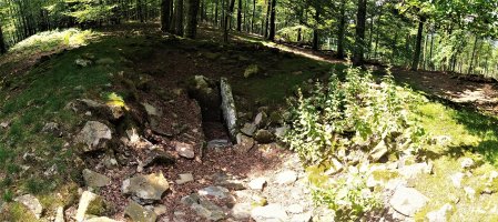 Miruatza Trikuharria