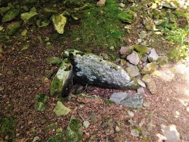 Miruatza Trikuharria