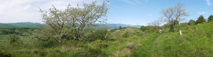 GR-9 bidea Aldatzetik gora