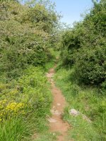 GR-9 bidea Aldatzetik gora